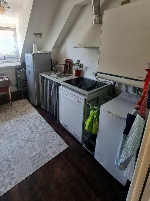 Appartement Centre Ville Terrasse Jardin Garage Chez Priscilla Aurillac Exterior photo